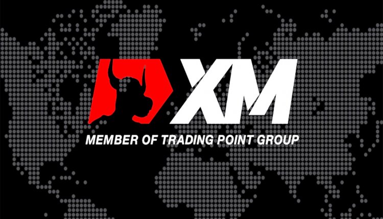 XM Broker